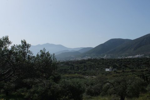 5000m² Land en Hersonissos, Greece No. 56296 2