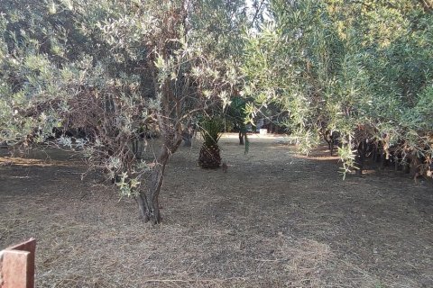 965m² Land in Chalkidiki, Greece No. 56293 2