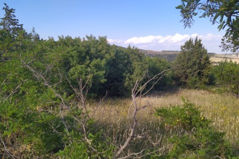 12000m² Land en Oraiokastro, Greece No. 56295 2