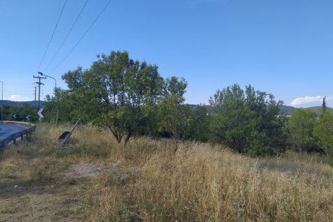 12000m² Land en Oraiokastro, Greece No. 56295 4