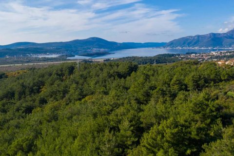 4815m² Land in Kavach, Montenegro No. 67017 3