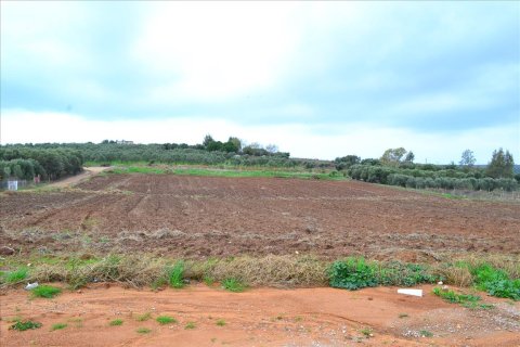 7800m² Land in Chalkidiki, Greece No. 60041 4