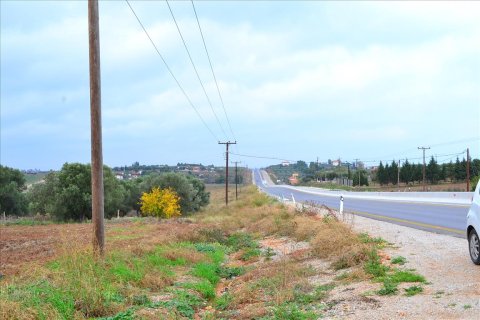 7800m² Land in Chalkidiki, Greece No. 60041 5