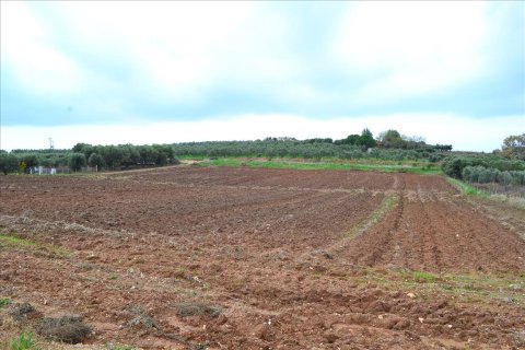 7800m² Land à Chalkidiki, Greece No. 60041 2