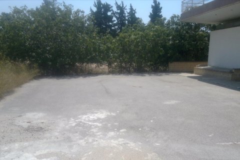 1000m² Business in Agioi Theodoroi, Greece No. 60034 8