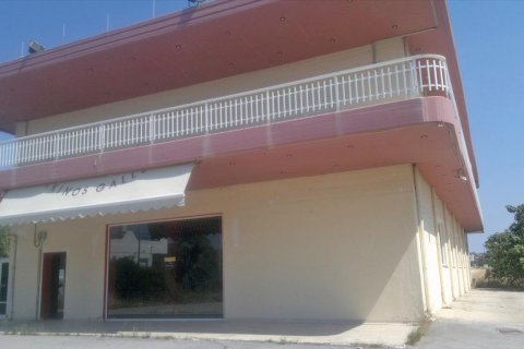 1000m² Business in Agioi Theodoroi, Greece No. 60034 1