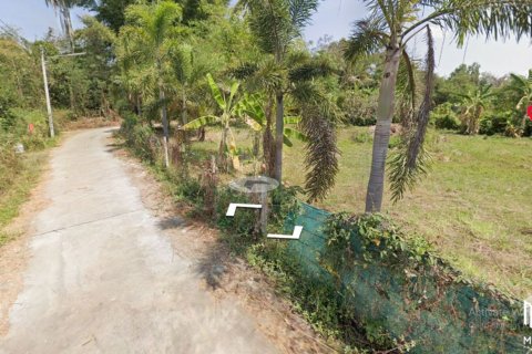 20 bedrooms Land in Chiang Mai, Thailand No. 2167 14