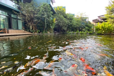 1 chambre House à Chiang Mai, Thailand No. 1370 3