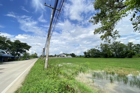 20 dormitorios Land en Chiang Mai, Thailand No. 1381 6