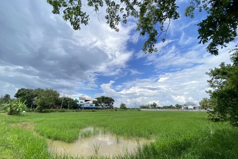 20 dormitorios Land en Chiang Mai, Thailand No. 1381 4