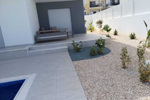 3 bedrooms House in Chloraka, Cyprus No. 31389 5