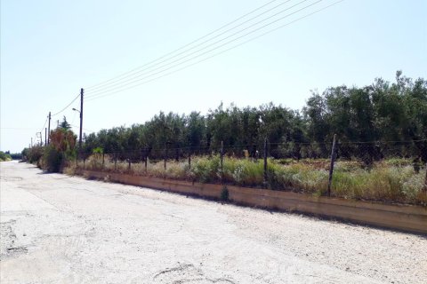 6400m² Land in Polygyros, Greece No. 57987 5