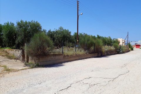 6400m² Land en Polygyros, Greece No. 57987 7