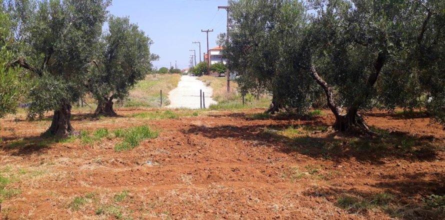 6400m² Land in Polygyros, Greece No. 57987