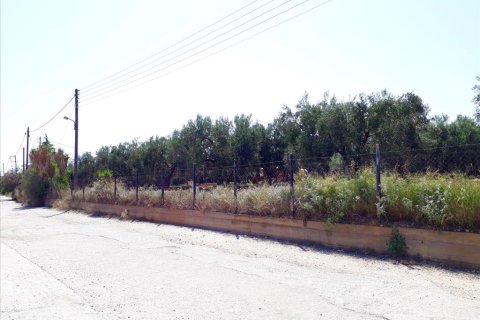 6400m² Land in Polygyros, Greece No. 57987 8