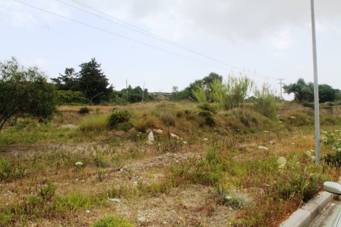 7400m² Land in Rhodes, Greece No. 59885 6