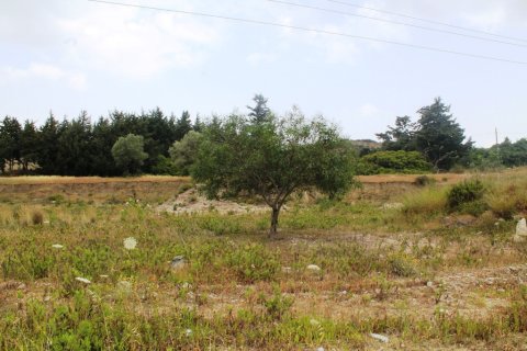 7400m² Land in Rhodes, Greece No. 59885 4