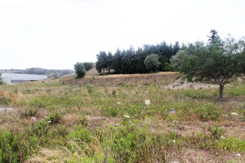 7400m² Land en Rhodes, Greece No. 59885 9