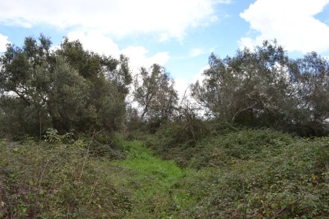 7500m² Land en Corfu, Greece No. 59884 6