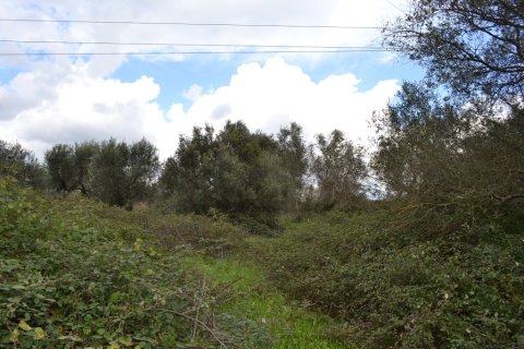 7500m² Land en Corfu, Greece No. 59884 4