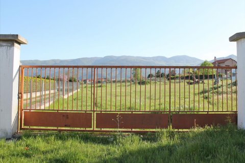 4000m² Land in Pieria, Greece No. 59759 2