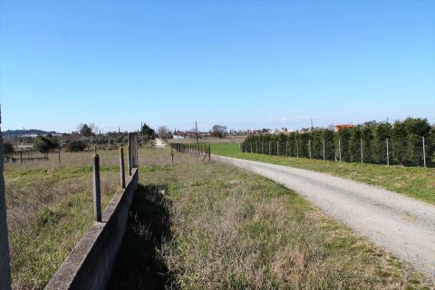 4948m² Land à Thermi, Greece No. 59881 10