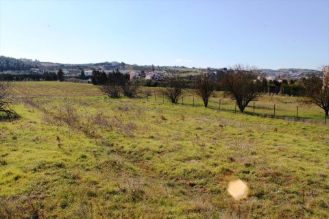 4948m² Land à Thermi, Greece No. 59881 6