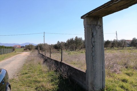 4948m² Land à Thermi, Greece No. 59881 9