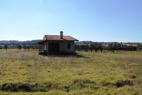 4948m² Land à Thermi, Greece No. 59881 1