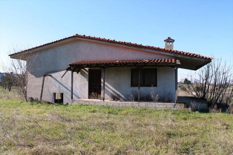 4948m² Land à Thermi, Greece No. 59881 4