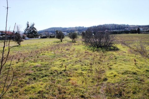 4948m² Land à Thermi, Greece No. 59881 7