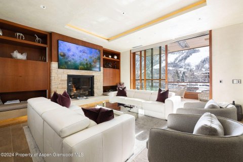 6 chambres Copropriété  à Aspen, USA No. 75477 2