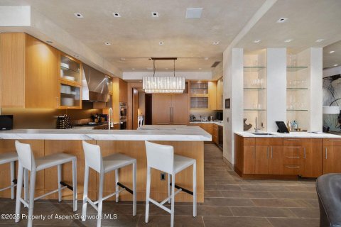 6 bedrooms Condo  in Aspen, USA No. 75477 25