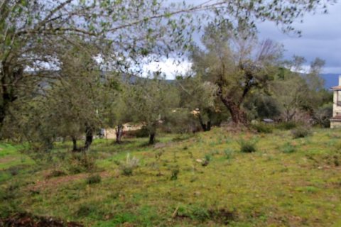 5200m² Land in Corfu, Greece No. 57640 8