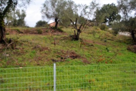 5200m² Land in Corfu, Greece No. 57640 6