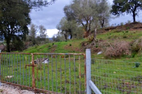 5200m² Land in Corfu, Greece No. 57640 5