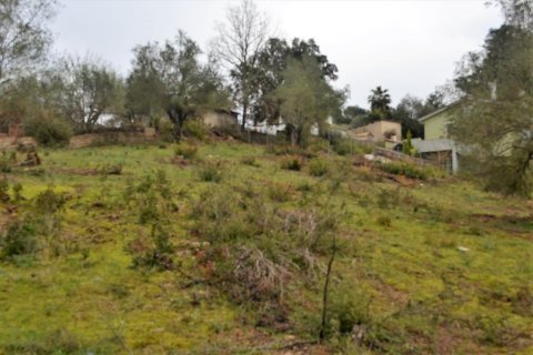 5200m² Land à Corfu, Greece No. 57640 9