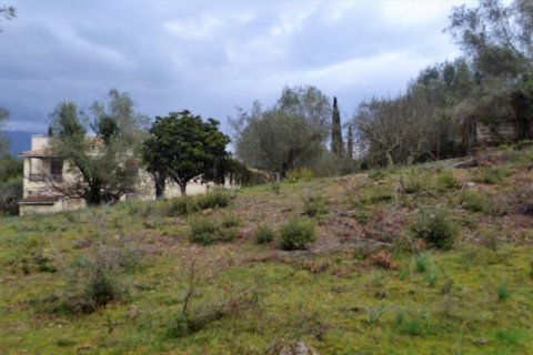 5200m² Land en Corfu, Greece No. 57640 3