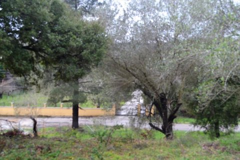 5200m² Land in Corfu, Greece No. 57640 10