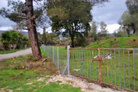 5200m² Land in Corfu, Greece No. 57640 4