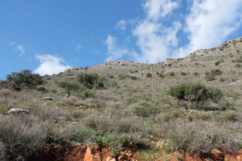 24233m² Land in Neapoli, Greece No. 57639 4