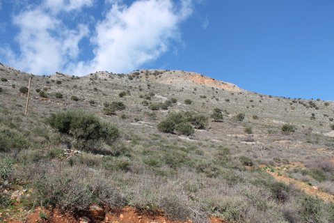 24233m² Land in Neapoli, Greece No. 57639 5