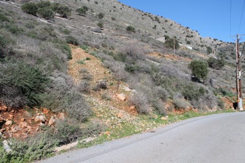 24233m² Land in Neapoli, Greece No. 57639 7