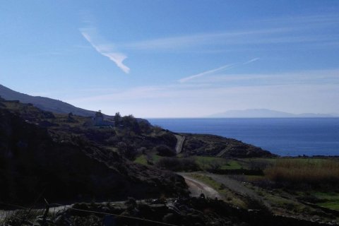 27000m² Land in Andros, Greece No. 57641 11