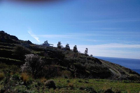 27000m² Land in Andros, Greece No. 57641 4