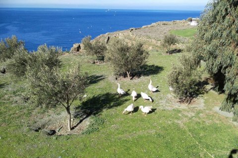 27000m² Land in Andros, Greece No. 57641 7