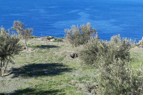 27000m² Land en Andros, Greece No. 57641 1