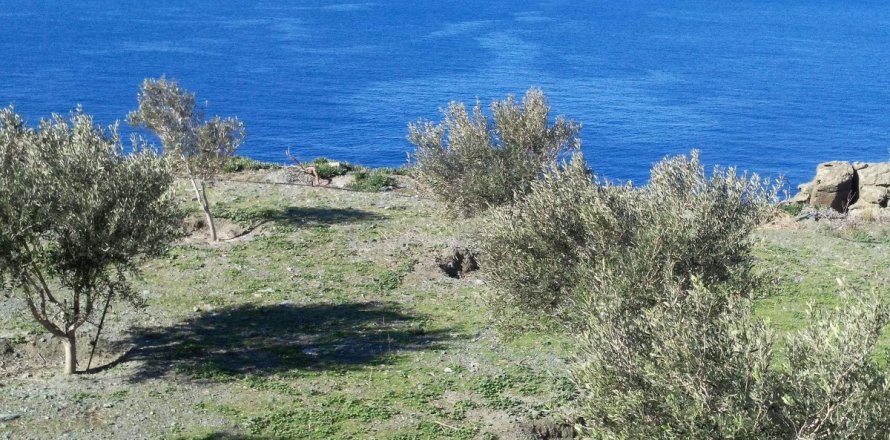 27000m² Land in Andros, Greece No. 57641