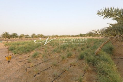 1025.5m² Land en  Yas Island, UAE No. 3334 10