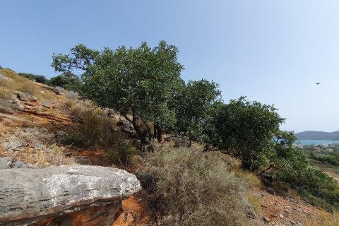 5834m² Land en Agios Nikolaos, Greece No. 55467 4